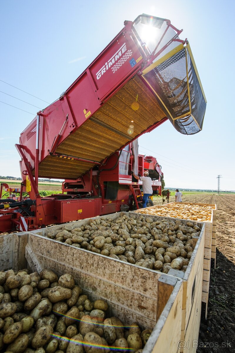Domáce ZEMIAKY a CIBUĽA aj na zaváranie - 3