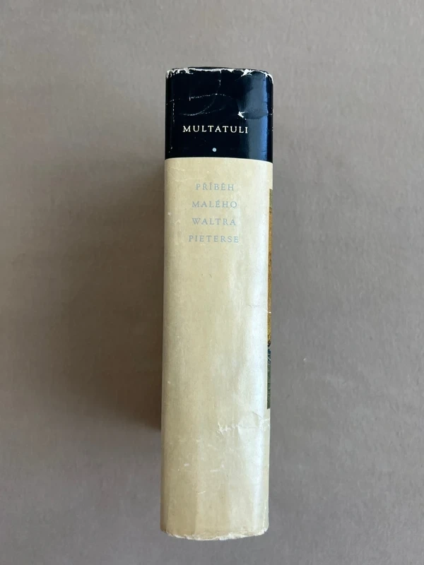 Příběh malého Waltra Pieterse - Multatuli - 3