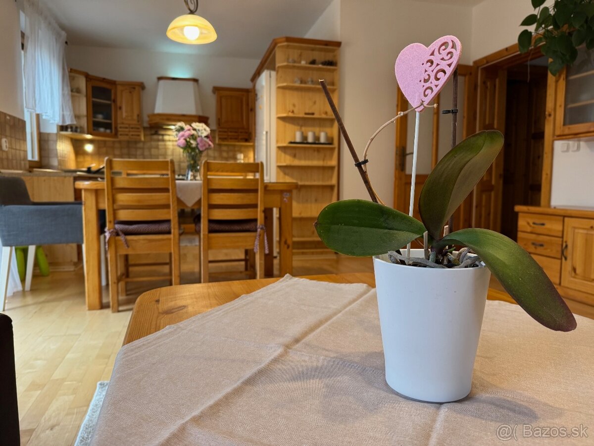 Na predaj krásny rodinný dom - 3
