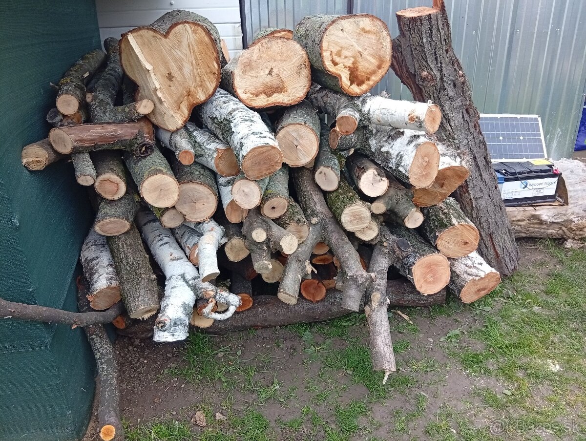 Palivove drevo prebytok... - 3