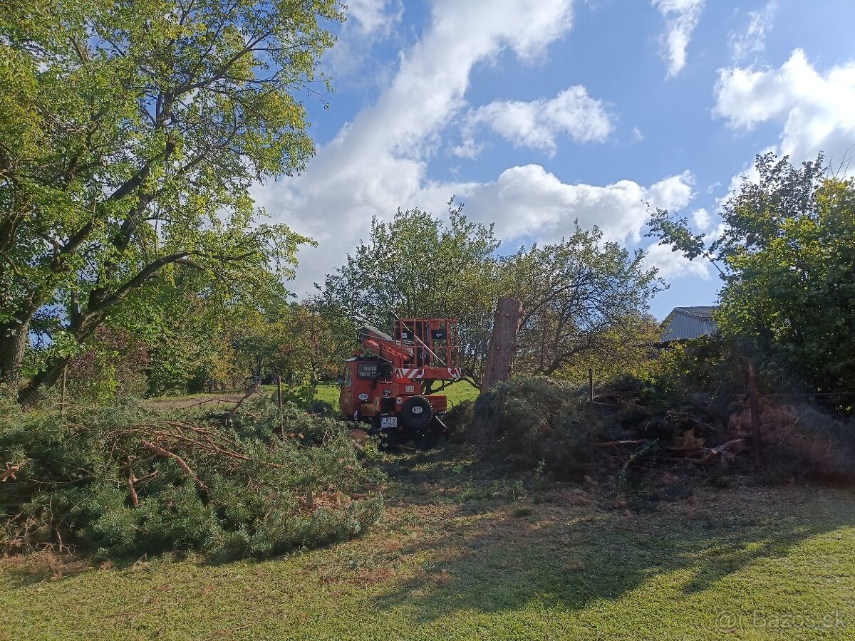 Pílenie a Orezávanie stromov - 3