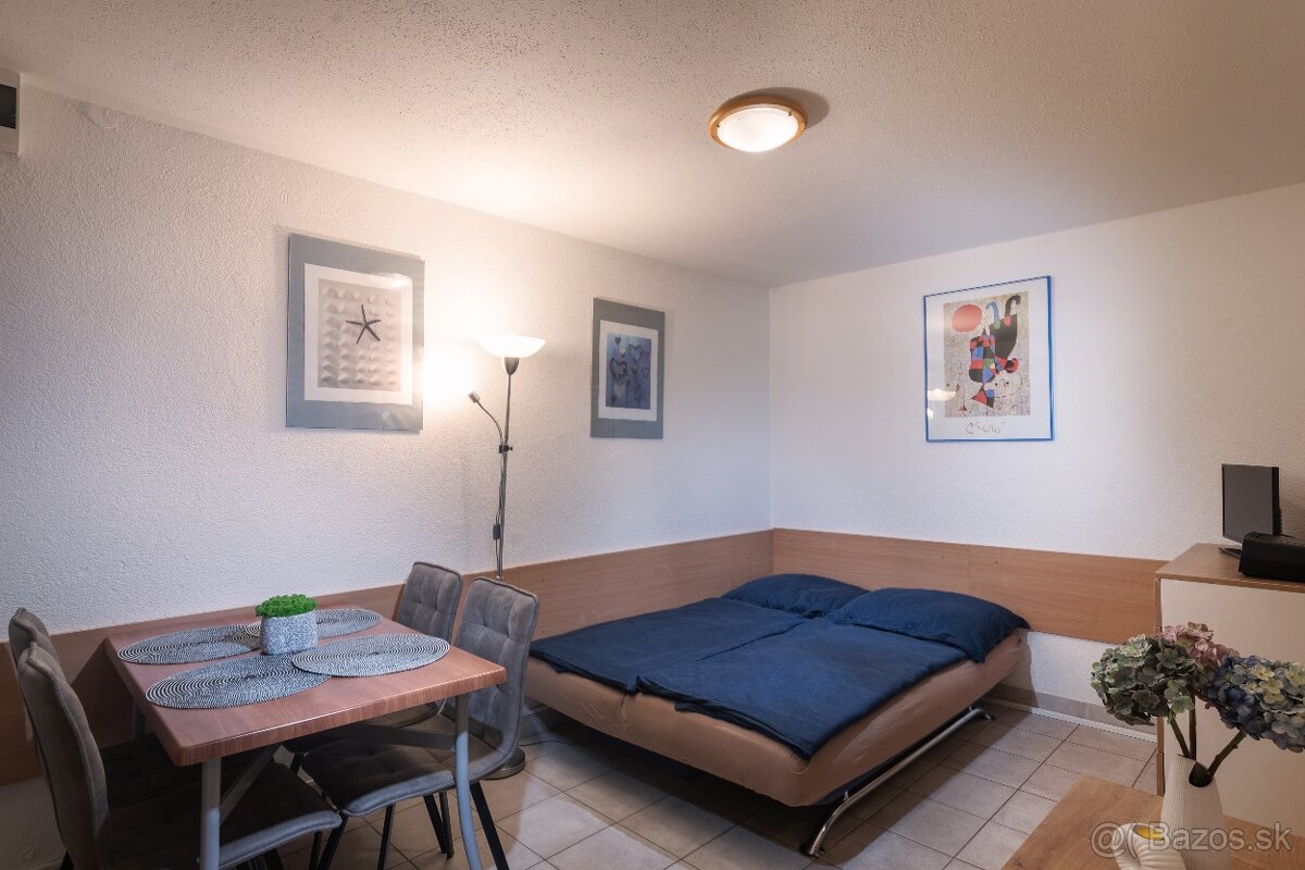 Prenájom Apartmánu v centre Donovál - 3