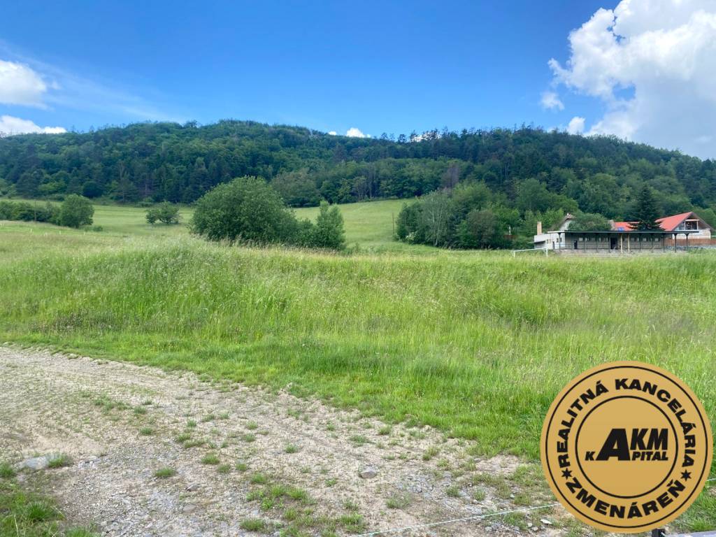 Pozemok na predaj, 13 237 m2 Slatinské Lazy, okres Detva - 3