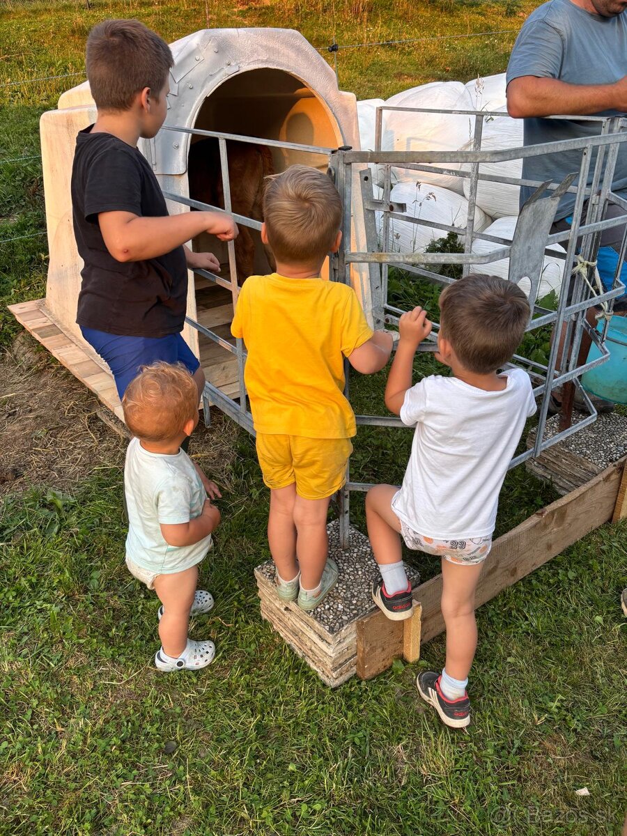 Búdky pre teľatá - 3