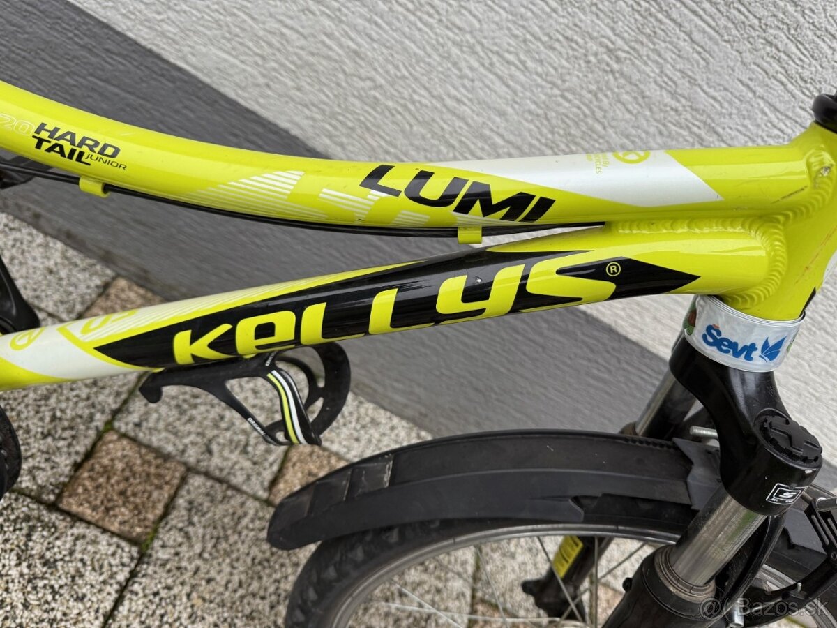 Kellys LUMI 50 HARD TAIL Junior 20" - 3