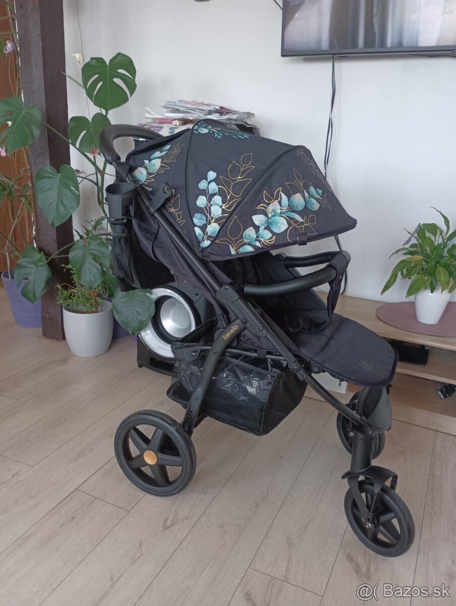 Kočík Lionelo Annet - 3