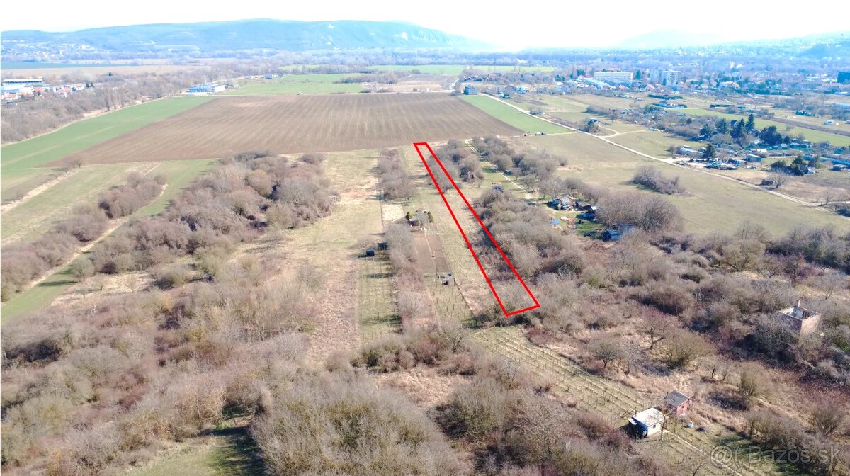 3.130 m2 ZÁHRADA v širšom centre Štúrova - 3