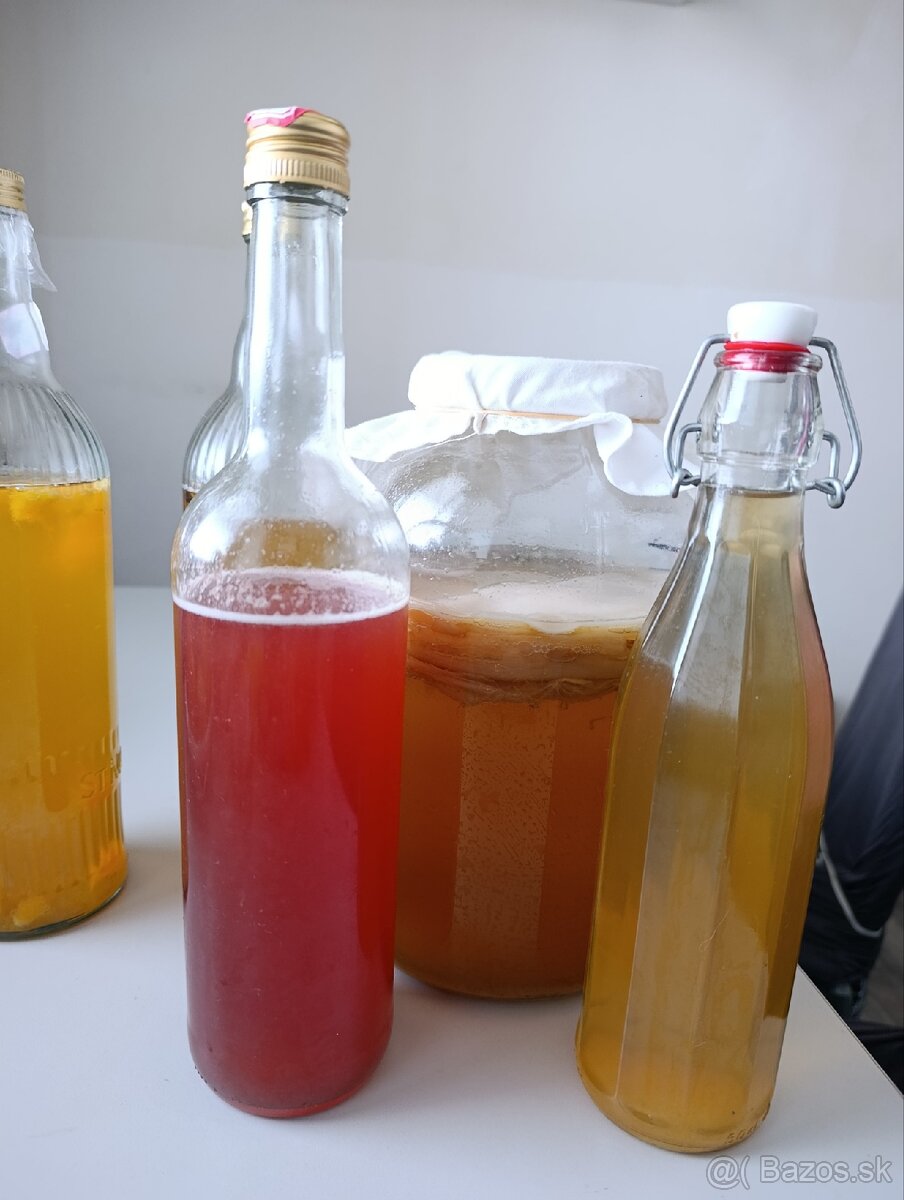 KOMBUCHA a KEFIROVÉ ZRNÁ - 3