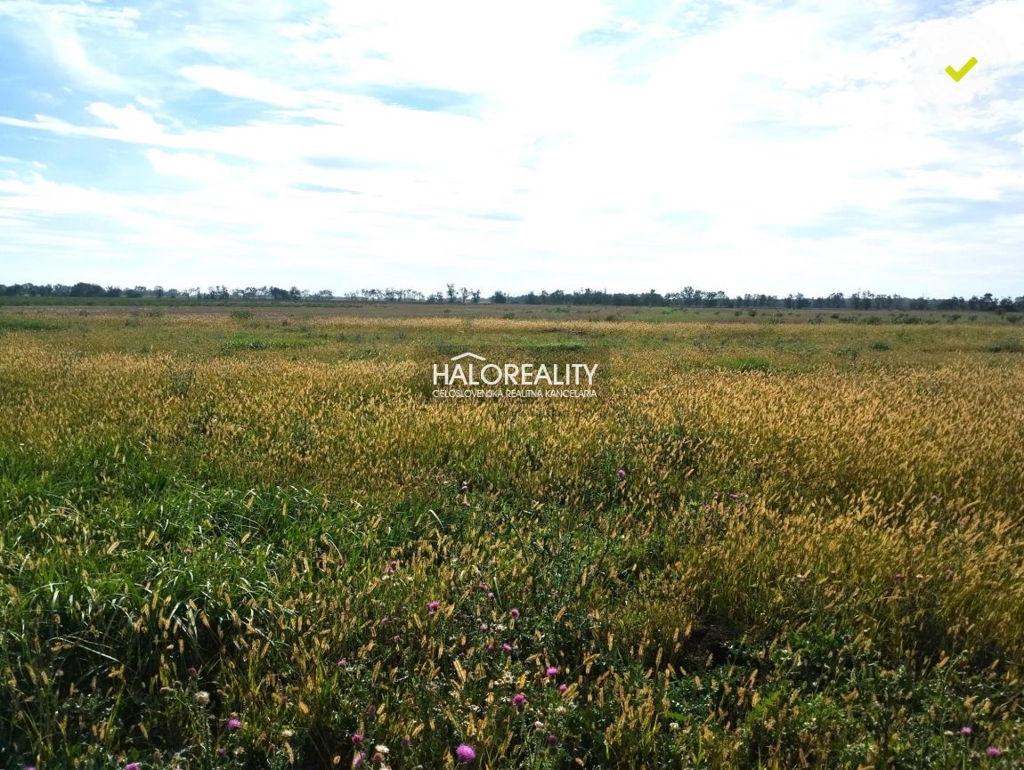 HALO reality - Predaj, pozemok pre rodinný dom 763 m2 Štef - 3