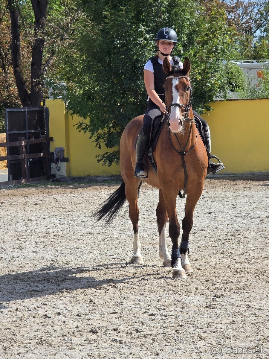 FEŠÁK NA HOBBY I SPORT - 3