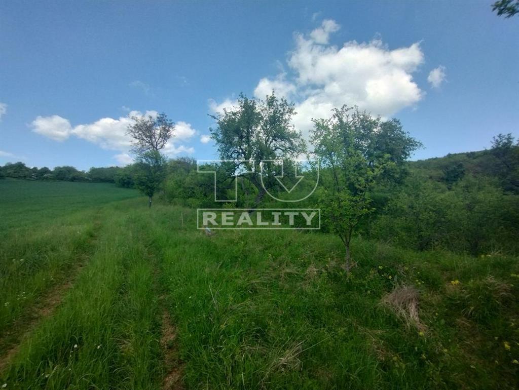 Ovocný sad nad Bošácou - 3