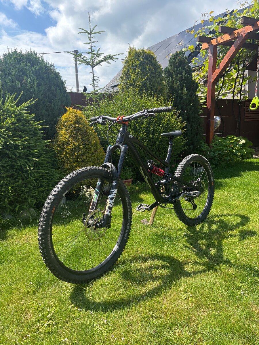 Yt capra - 3