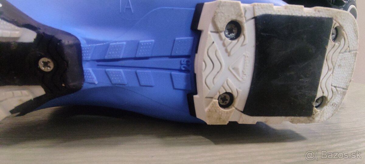 Predá lyžiarky - 3