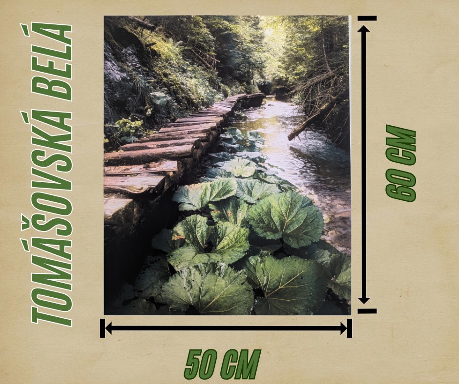 Fotoobraz zo Slovenského raja, oblasť Tomášovská Belá - 3
