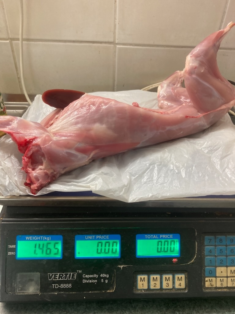 Predám králiky na mäso - 3