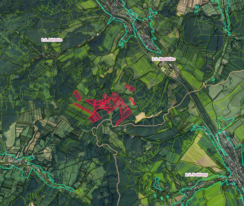 Mestečko – 13.000 m2 LES a PÔDA neďaleko Púchova - 3