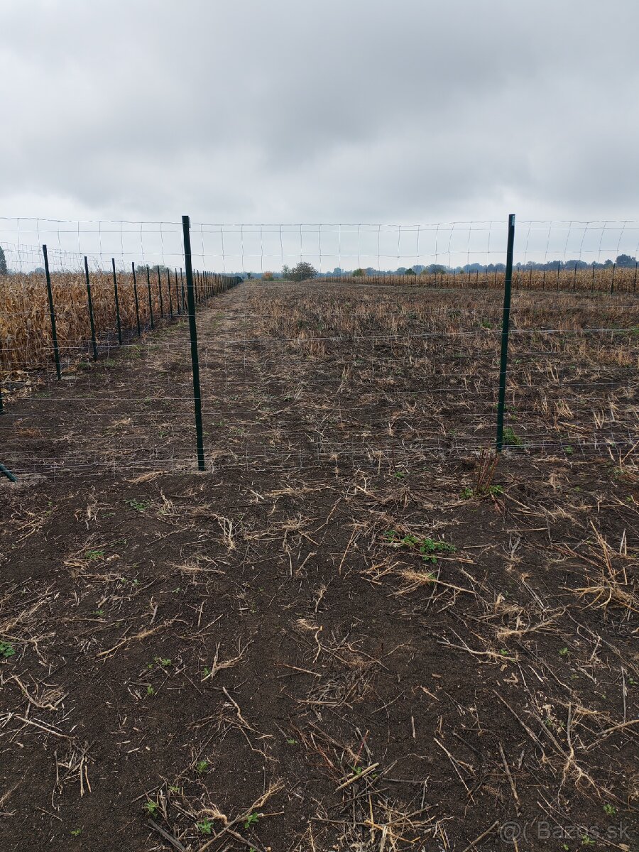 Predaj pozemku v Hurbanove pri hlavnej ceste - 3