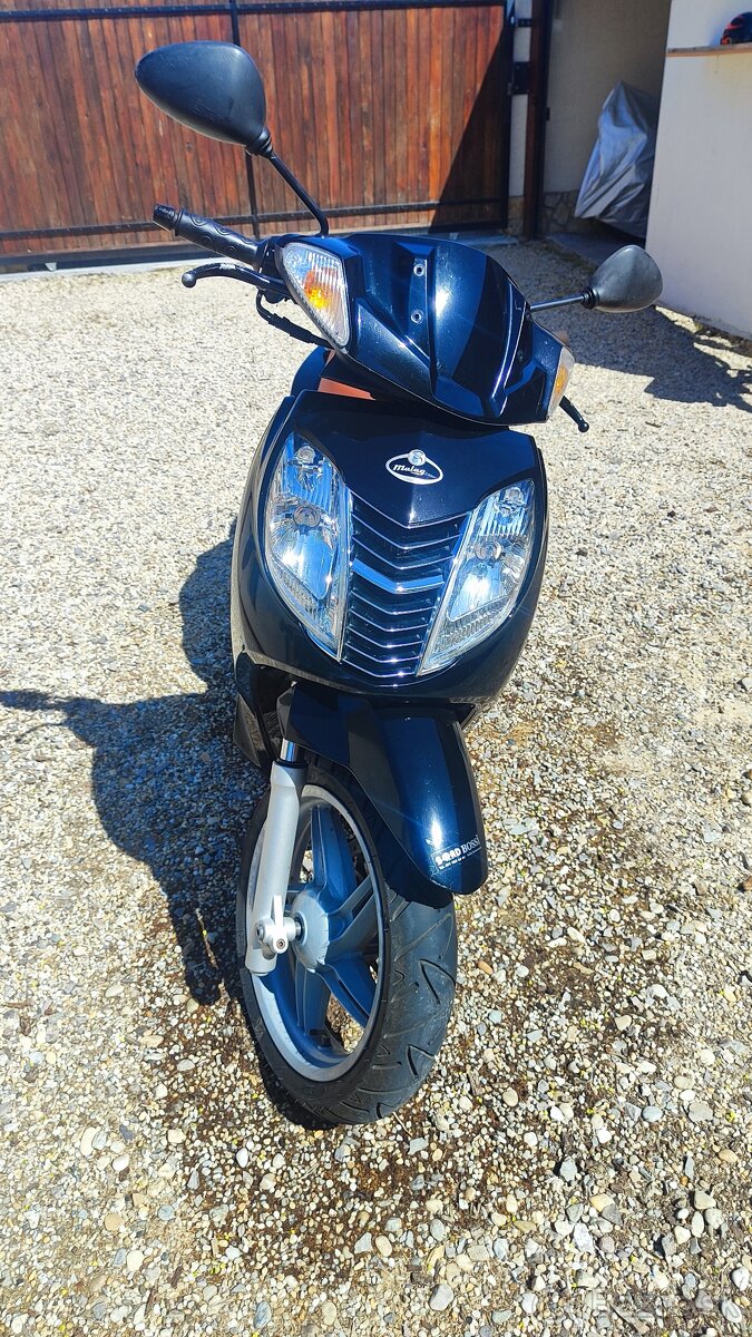 Malaguti Password Ck 250 - 3