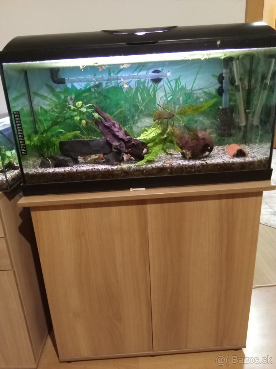 Predám akvárium - 3