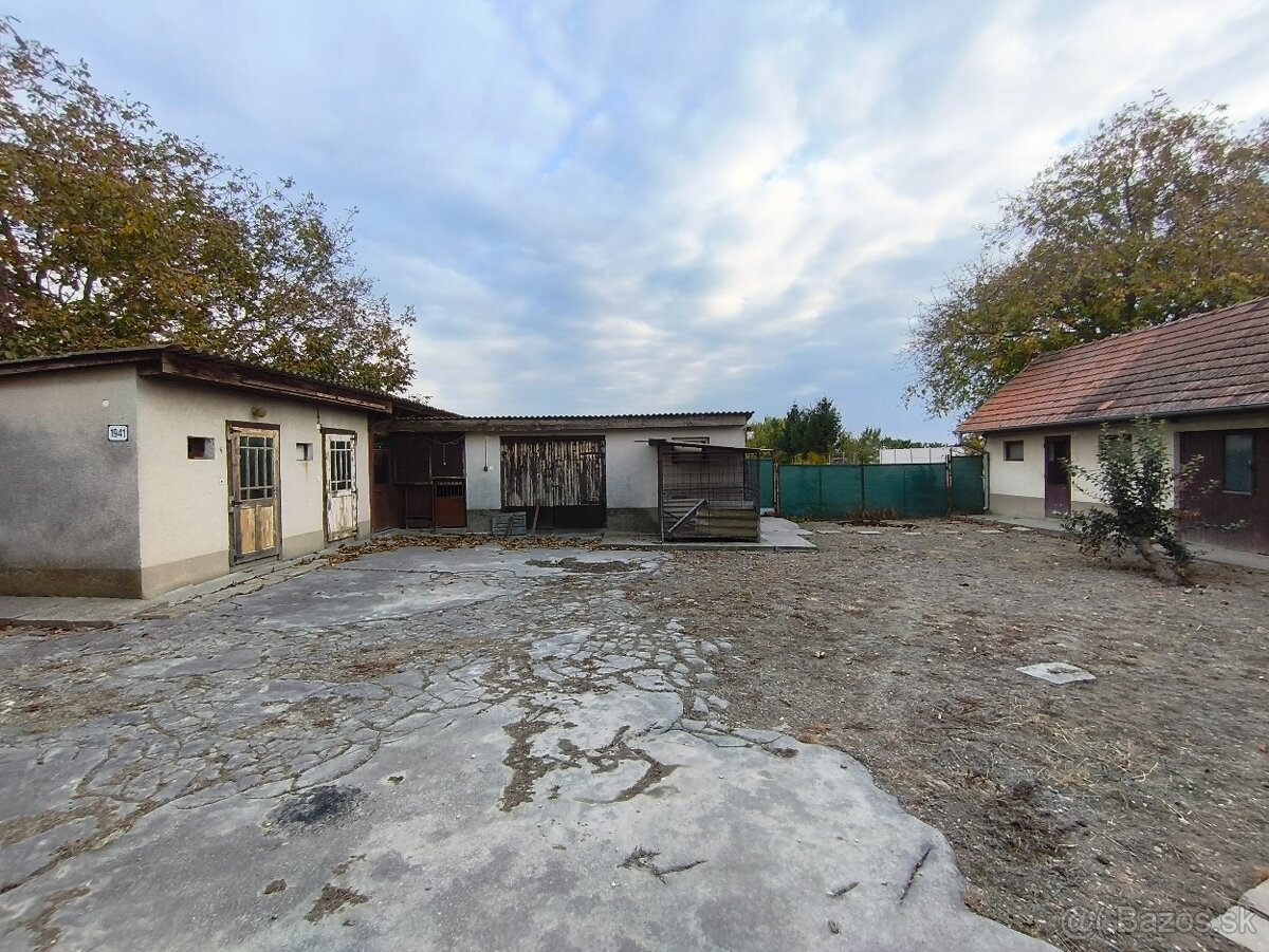 Starší dom na predaj len 3km od Malého Dunaja - Topoľníky - 3