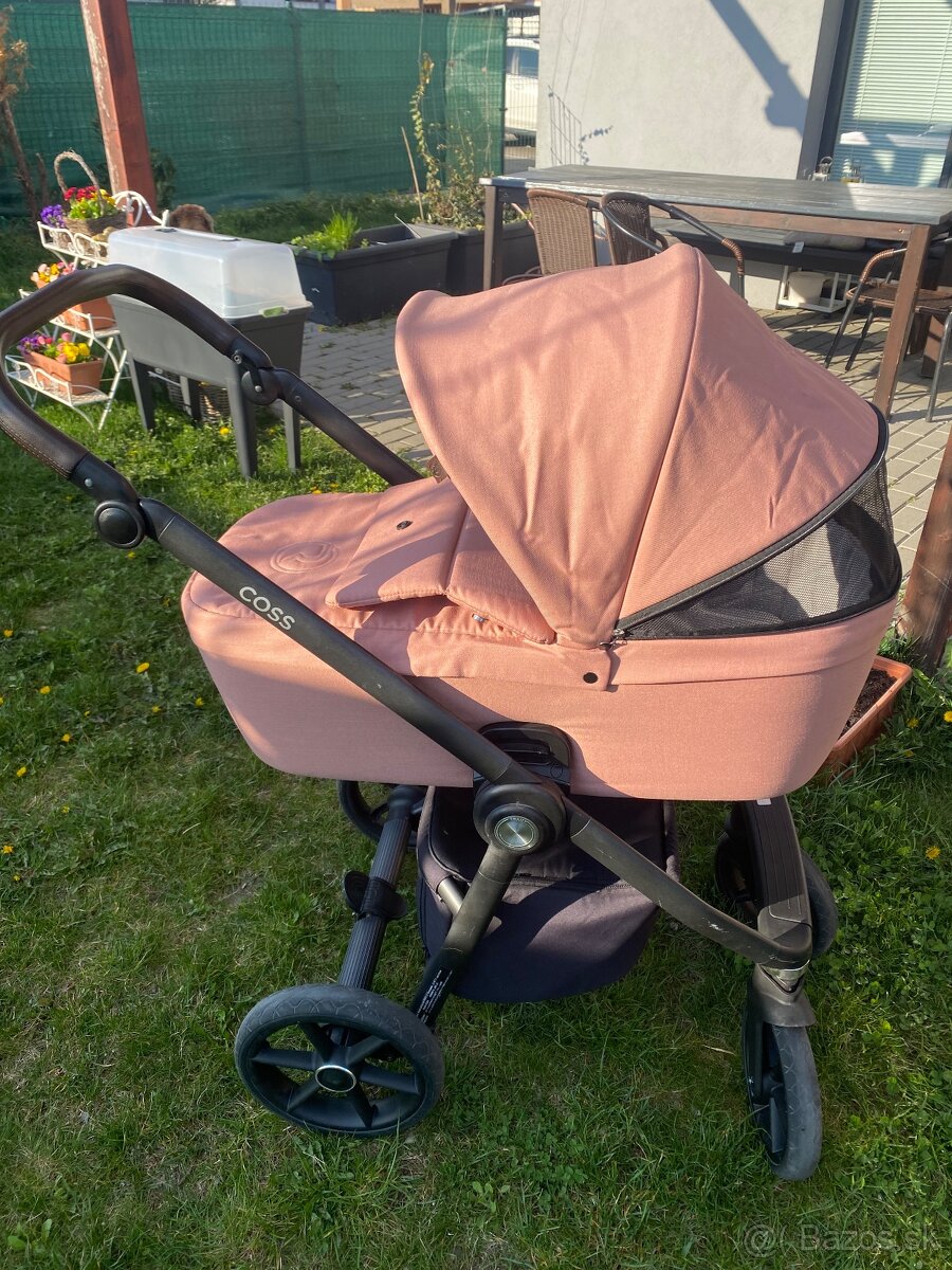 Kočík roan coss - 3