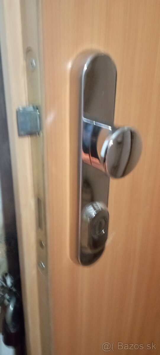 KVALITNÉ PANCIEROVÉ DVERE BCD1 - 3