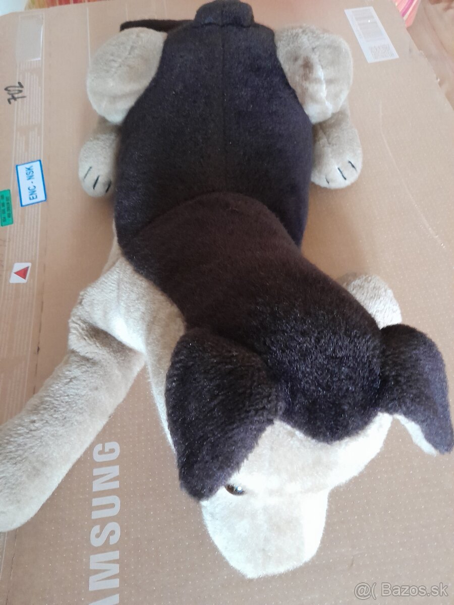 Predam velkeho plysoveho psa - 3