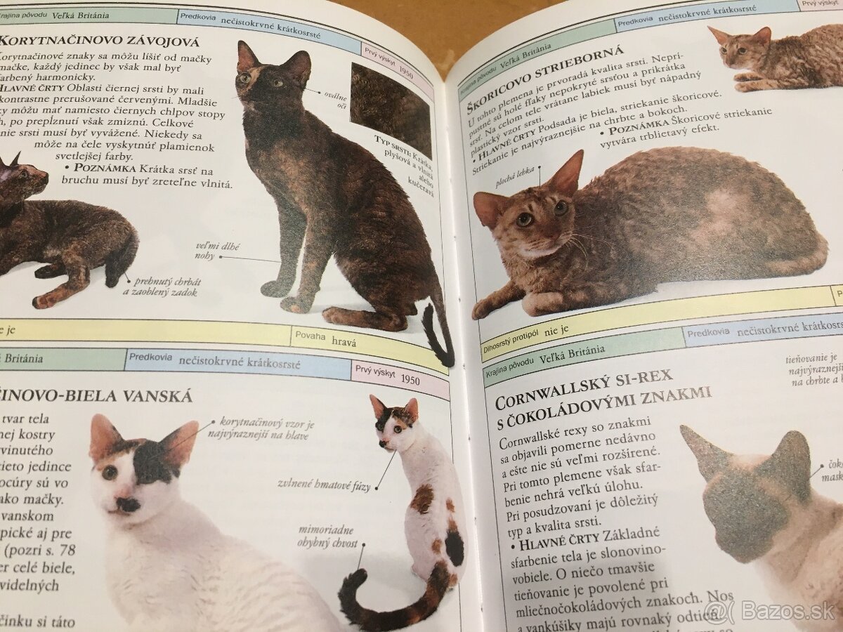 Mačky - 3 knihy - 3