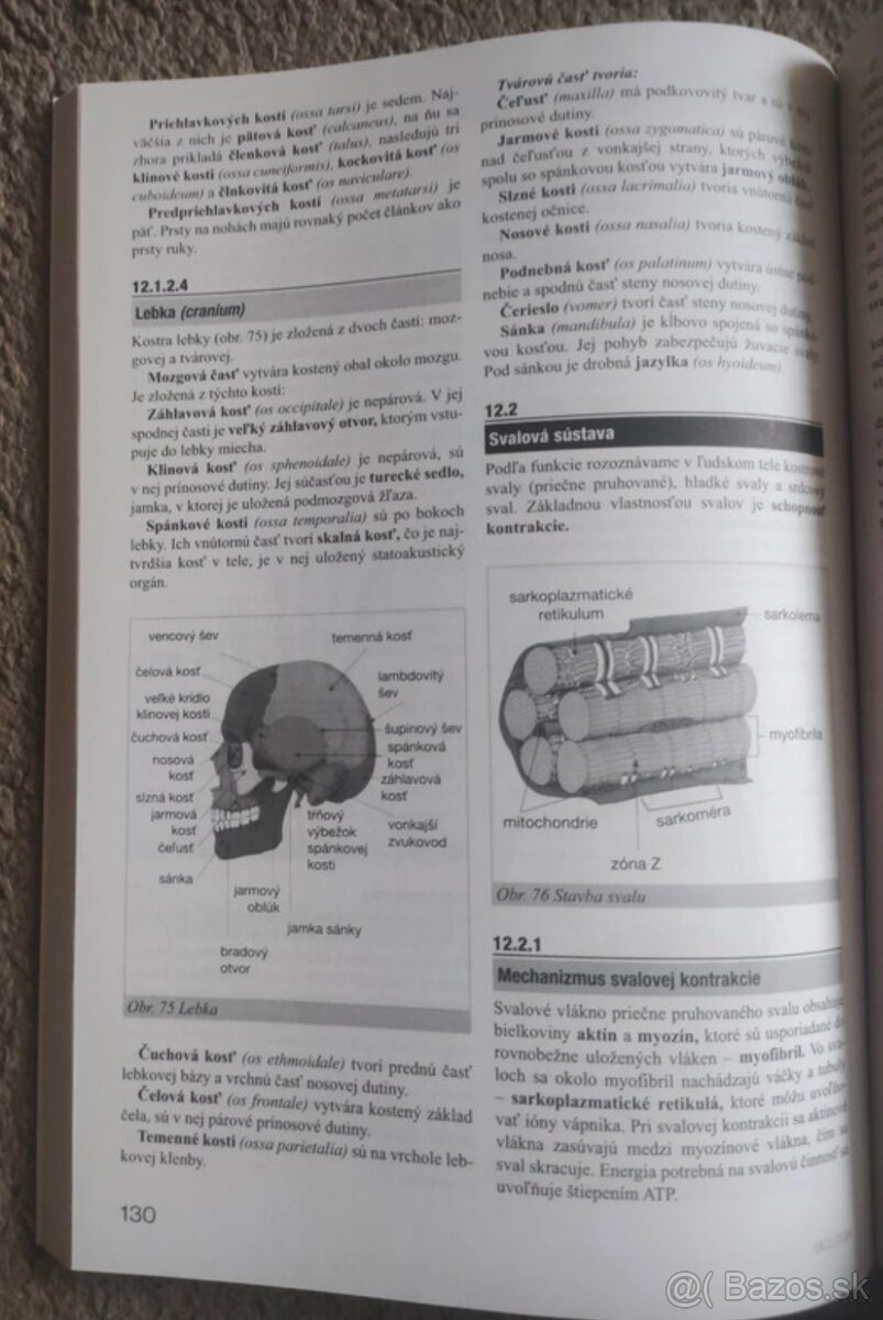 Príprava na maturitu a prijímacie skúšky na vysokú školu Bio - 3