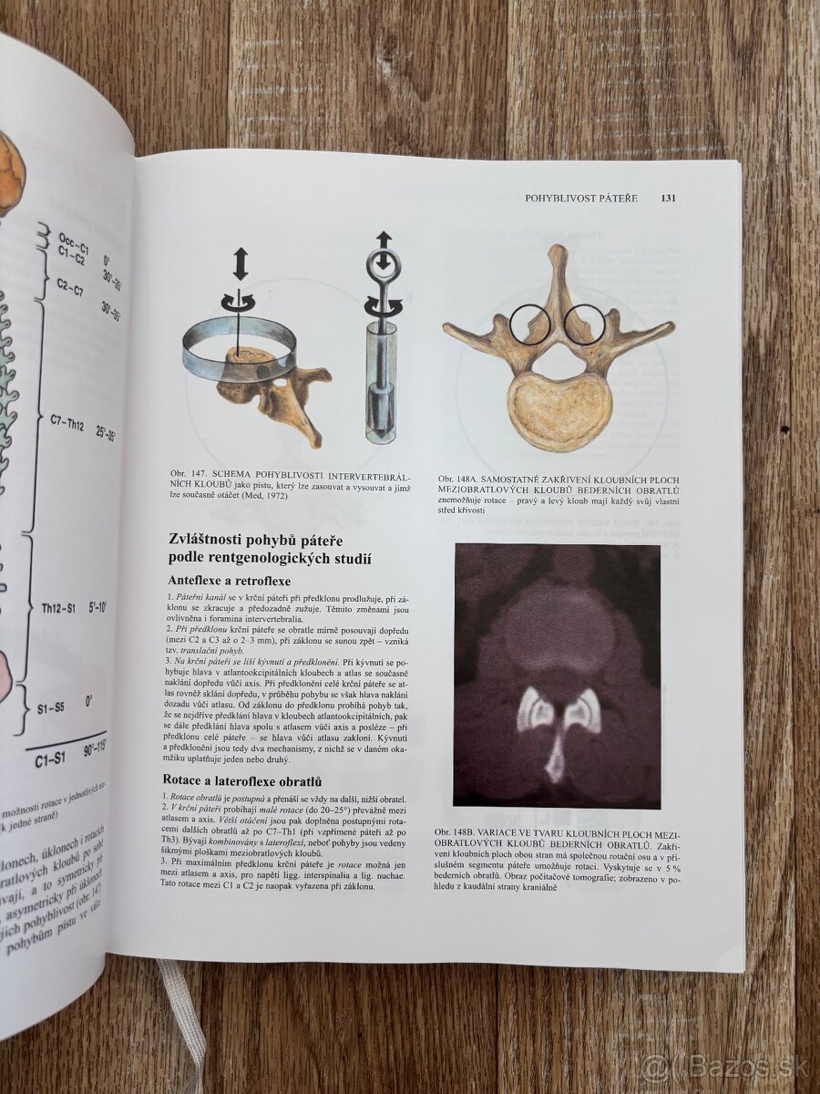 Anatomia Čihák 1,2 - 3