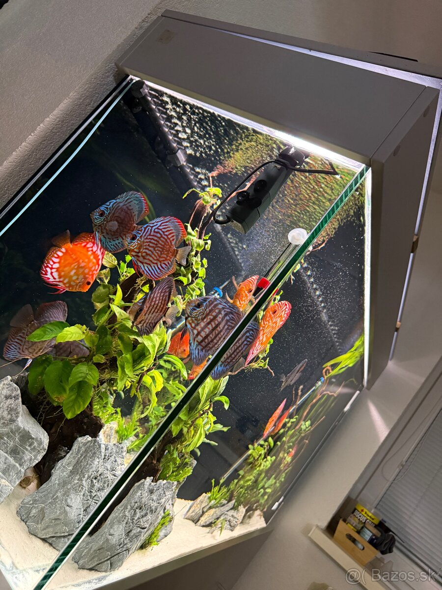 455l Akvarium - 3