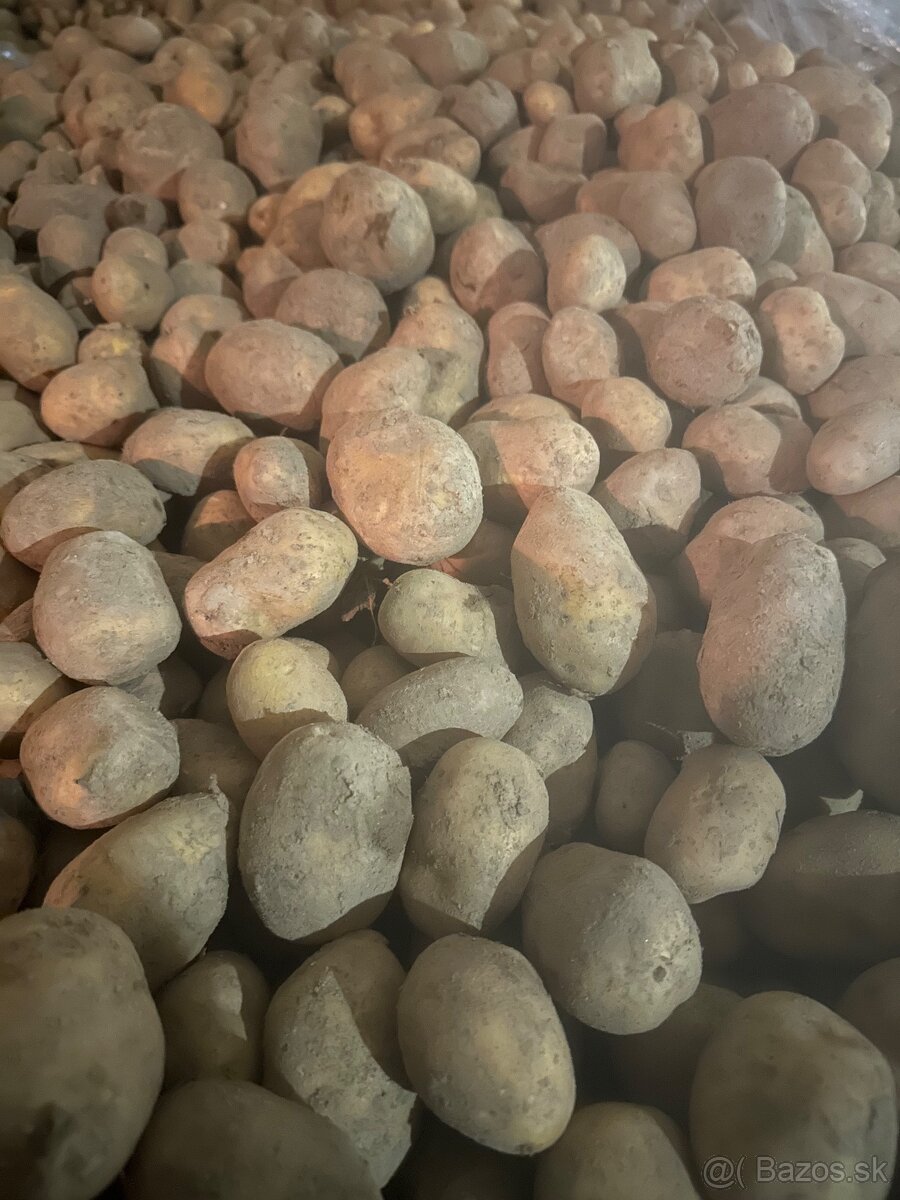Nestriekané zemiaky - 3