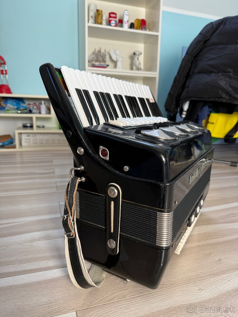 Akordeón Delicia IV - 3