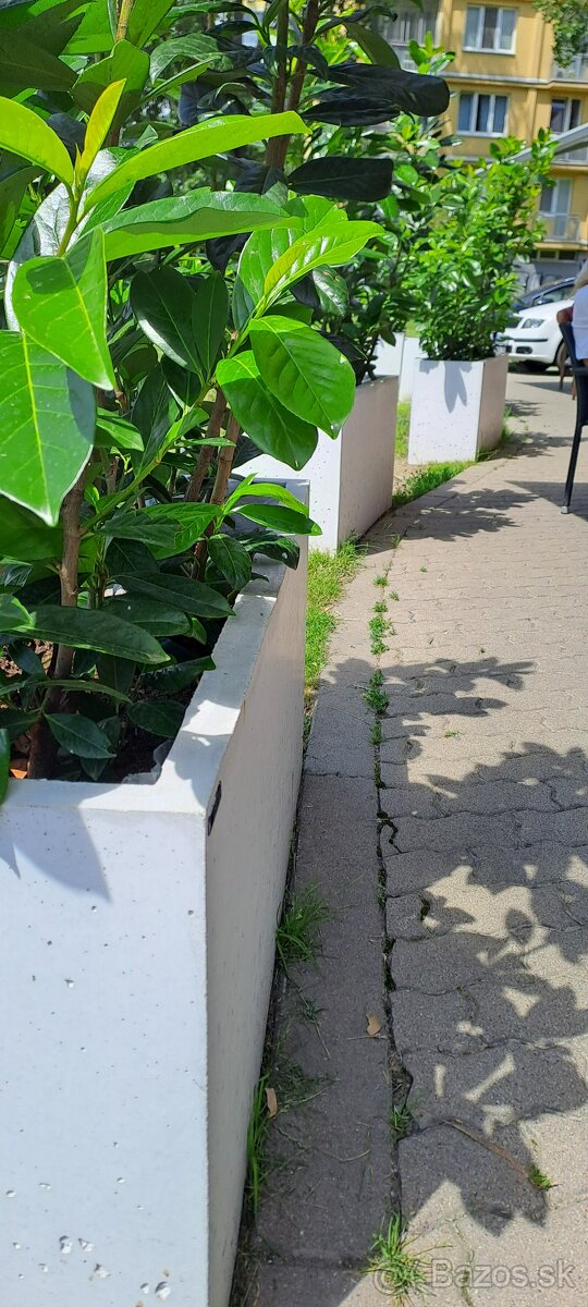 Betónový kvetináč - 3