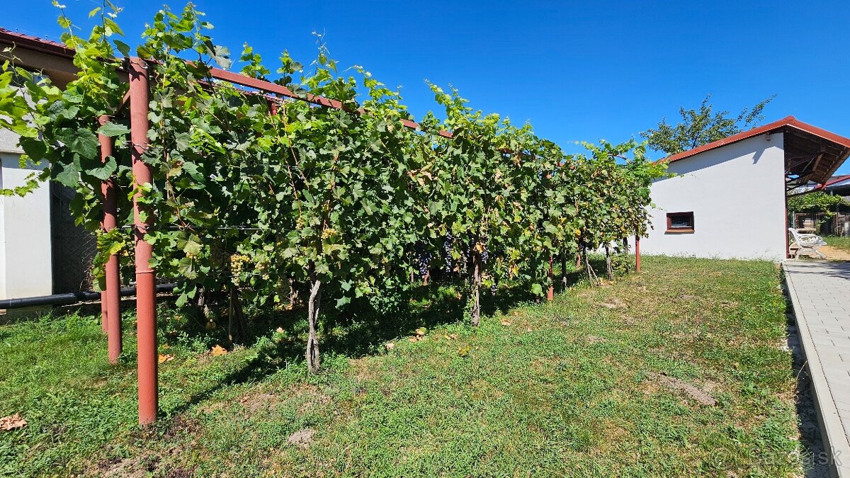 Predaj rodinný dom Nitra - Branč, rovinatý pozemok 960 m2 - 3