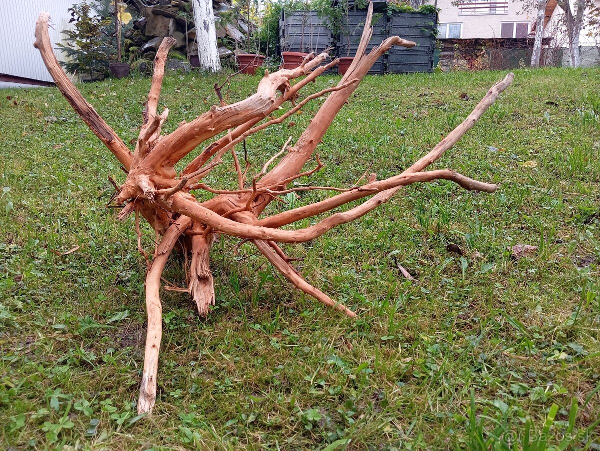 predam koren/samorast do akvaria - 3