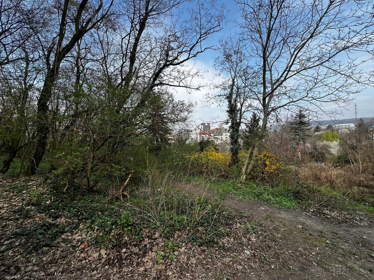 REI PREMIUM Investičný pozemok na výstavbu v tichej lokalit - 3