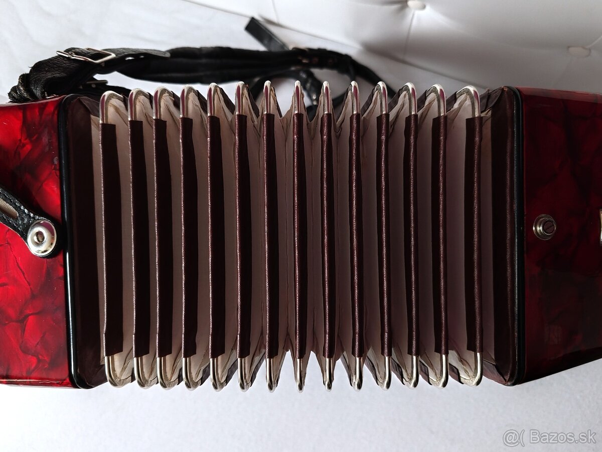 Predam akordeon ROYAL STANDARD 60 bas. - 3