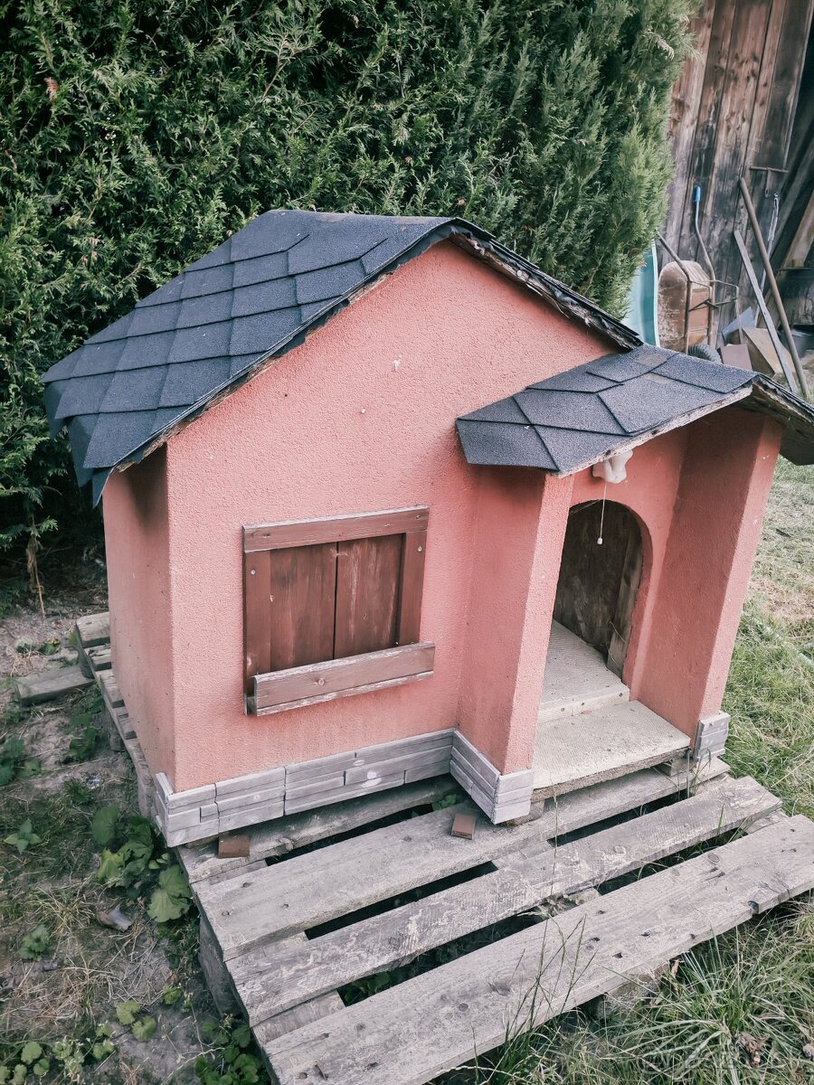 Darujem búdu pre psa - 3