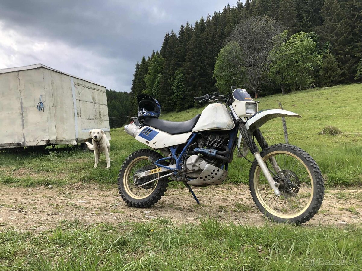 Suzuki Dr 600