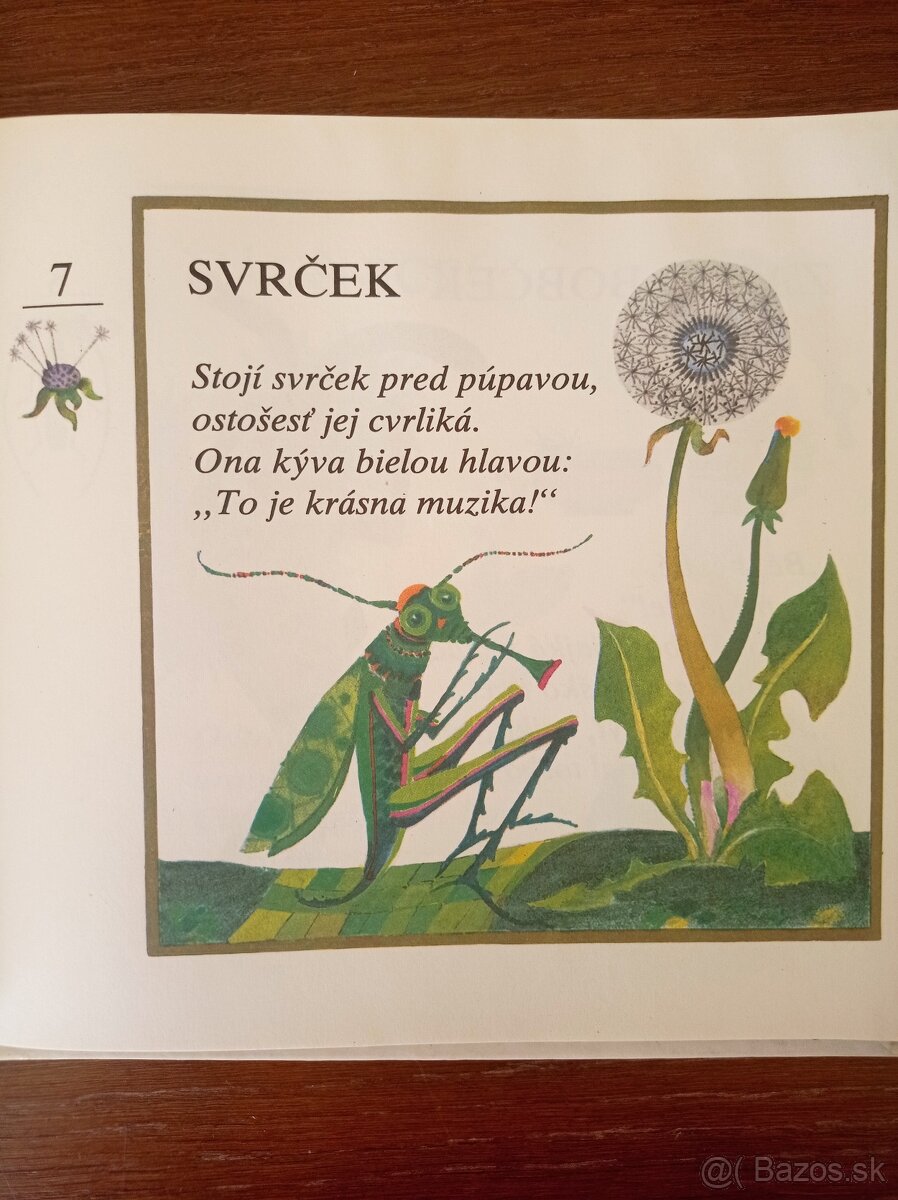 V tejto knižke rapoce straka (Krista Bendová) - 3