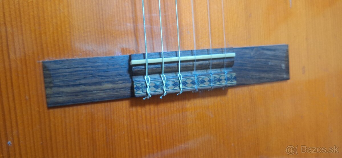 Schneider guitar akustika - 3