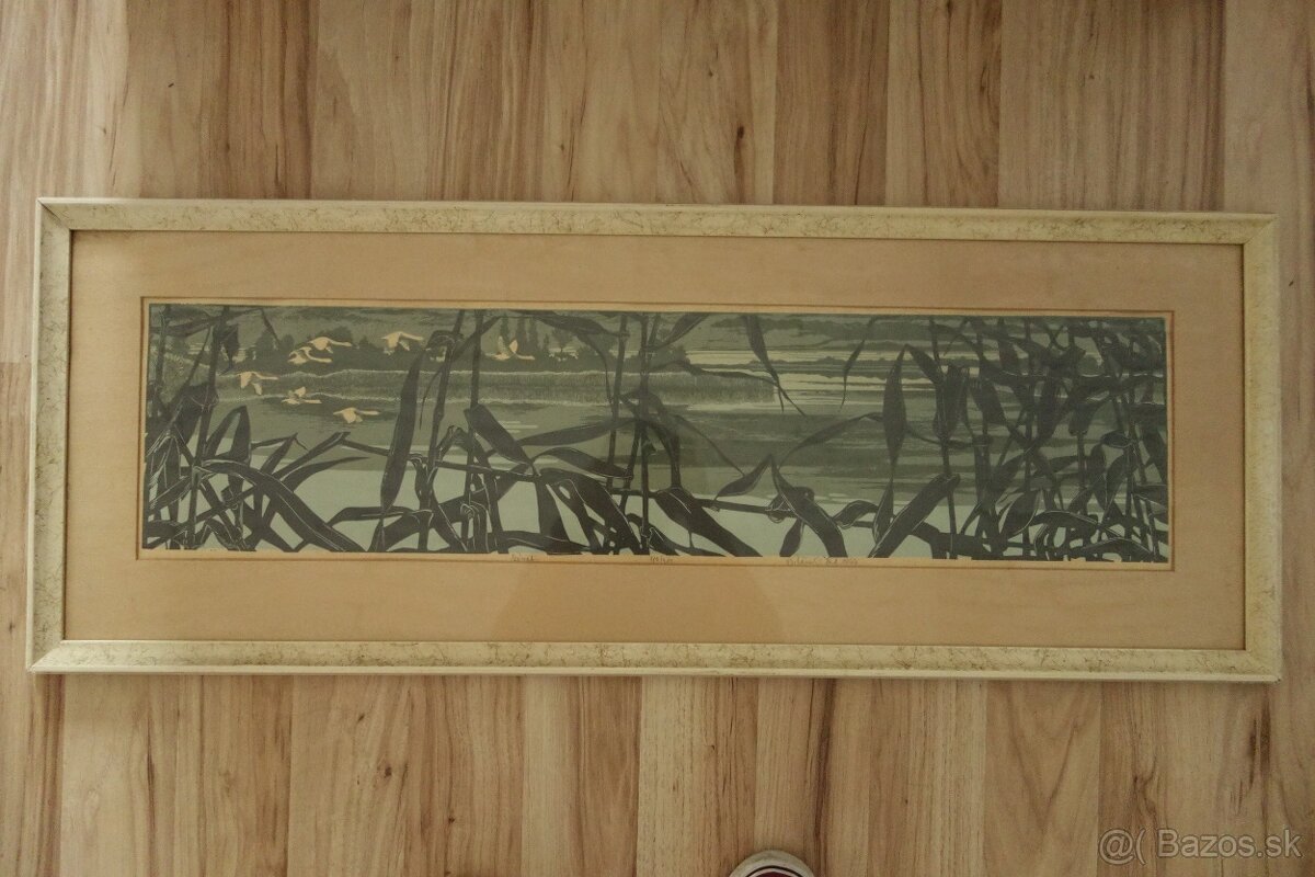 Obraz - Botanský - návrat - 3