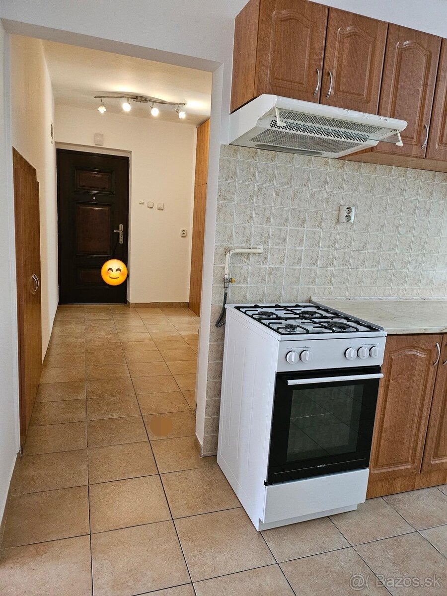 2 izbový byt na prenájom - 3