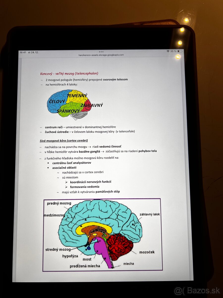 Maturita z biológie - 3