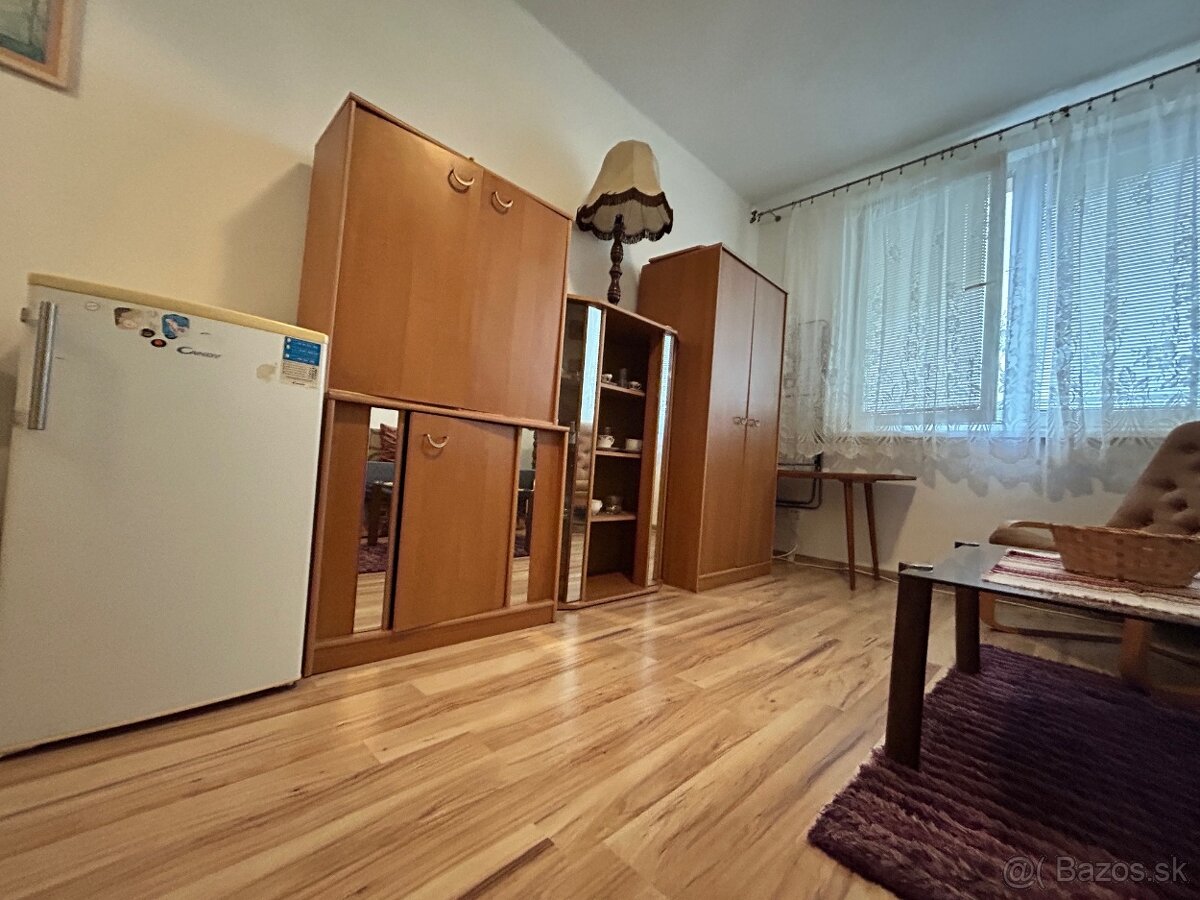 Ponúkam Vám do prenájmu garsónku vo výbornej lokalite - 3