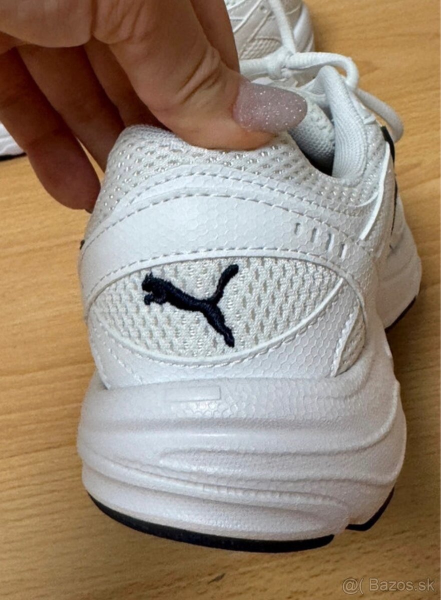 Puma axis - 3