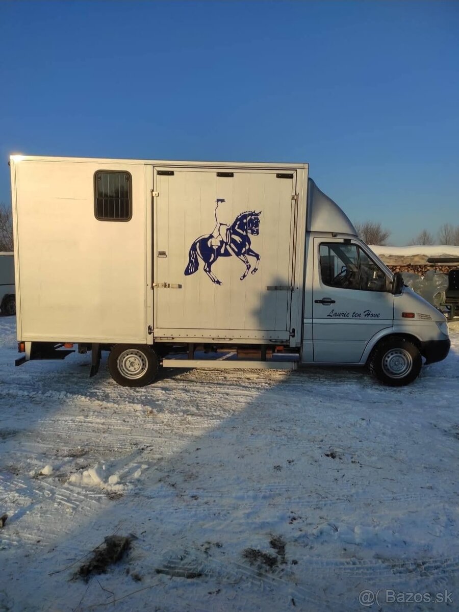Mercedes prepravnik na kone - 3