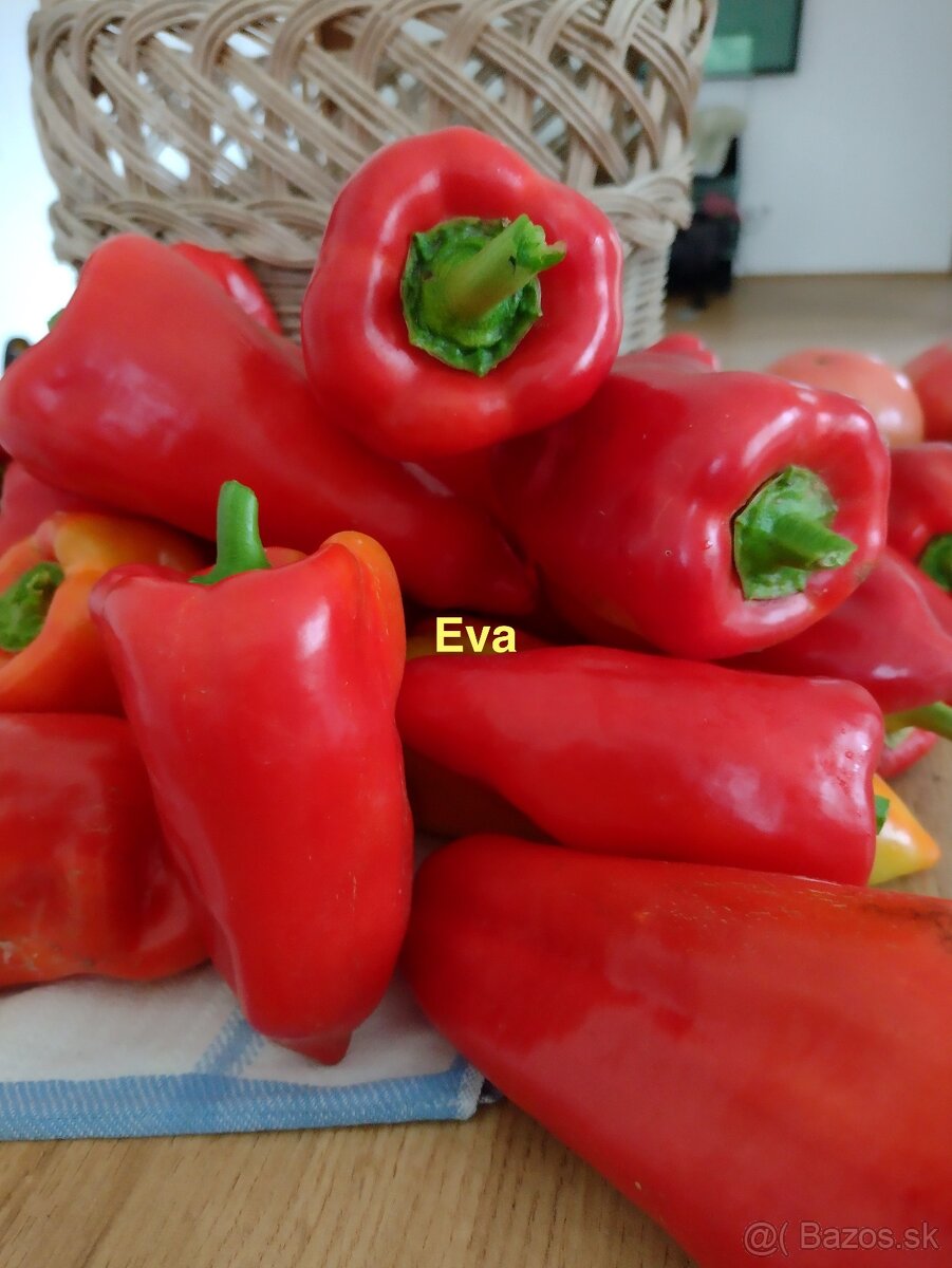 Predám semienka papriky - 3