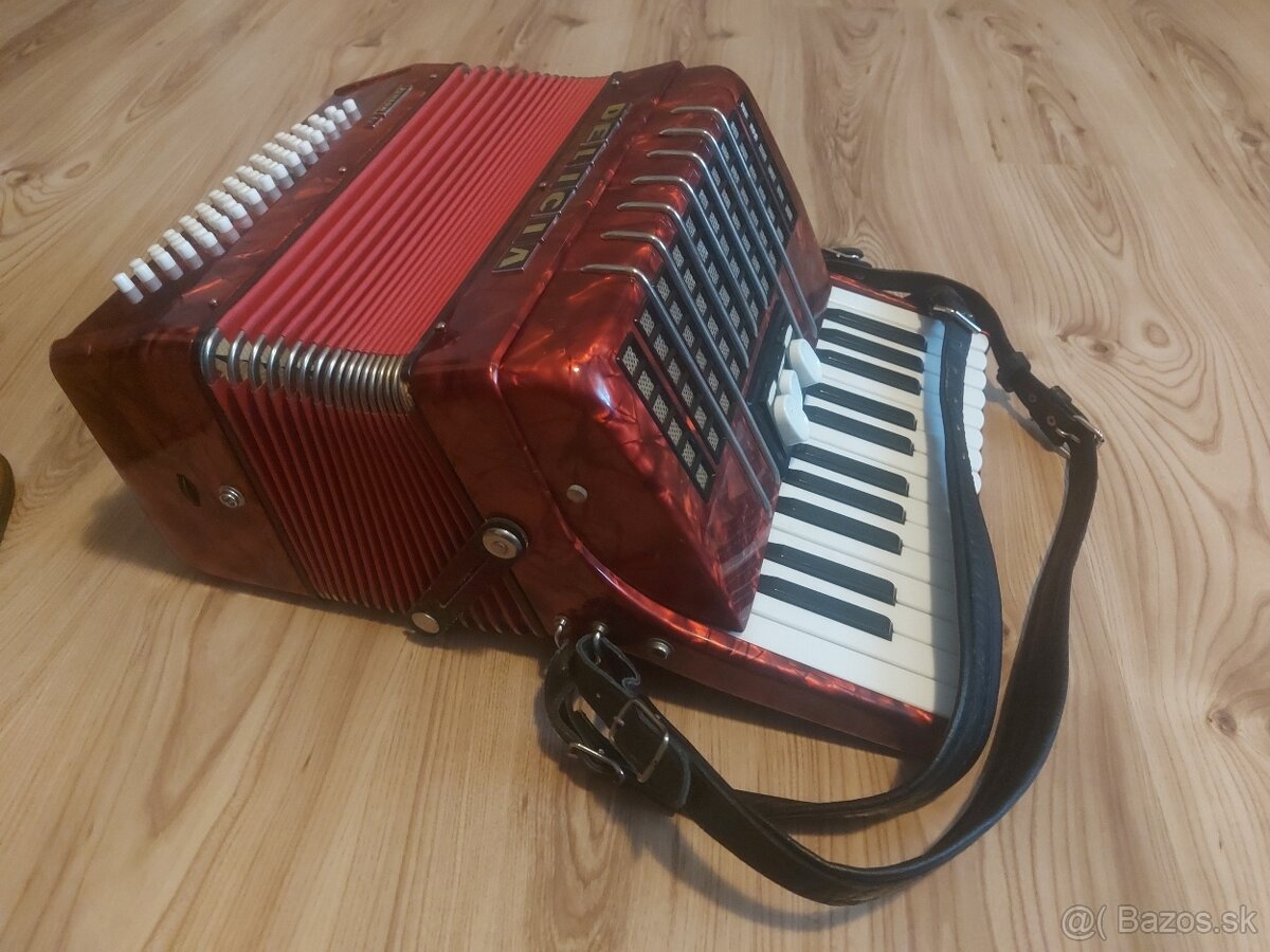 Harmonika Delicia Junior 4 - 3